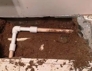 绥棱测漏水哪家好