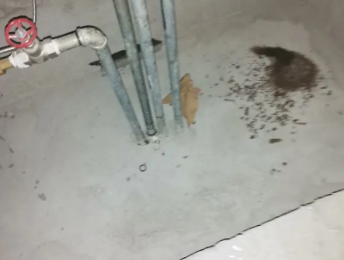 绥棱卫生间测漏水价格明细